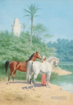 far0083D13 personnage classique Arabe Arabe chevaux Peinture à l'huile